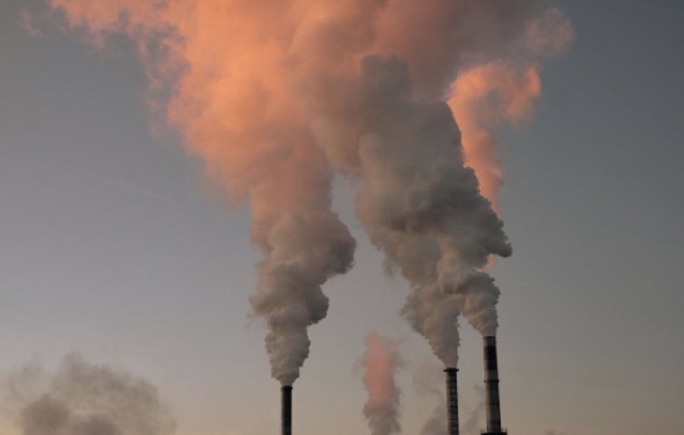 Sara Laughter tweet media