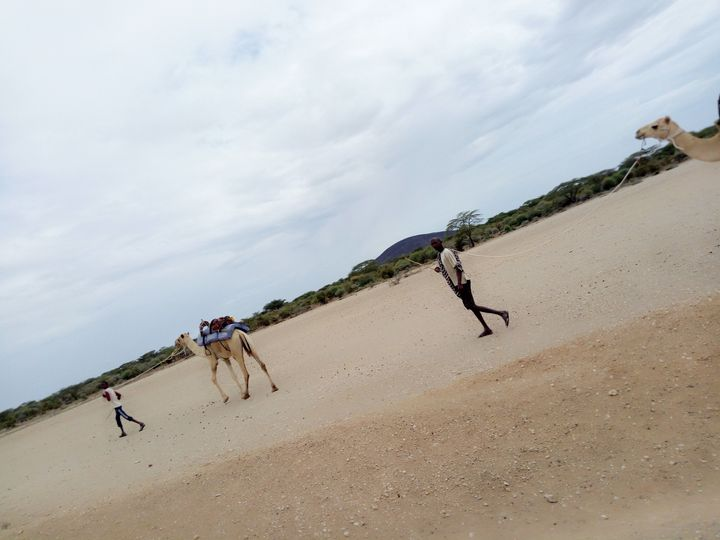 satima_exp's tweet photo. The ultimate desert safari.
#SatimaExpeditions #tembeakenya #CreateUnforgettableMemories #africansafari #kenyansafari #magicalkenya #exploremore #africalove #safaritime #traveling #travel #travelphotography #travelgram #safari #views #ChalbiDesert #TheNorth #outdoors https://t.co/tdPUUs0PGJ