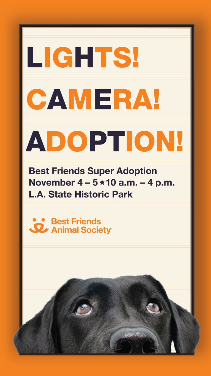 EmmyPerryXO's tweet photo. Lights! Camera! Adoption! The @bestfriends #SuperAdoption is back!
Don't miss this chance to meet hundreds of adorable, superstar animals from local shelters and rescue groups and help #SaveThemAll by adopting your new best friend! https://t.co/nikPtO54kN https://t.co/1GZY2hP8GF