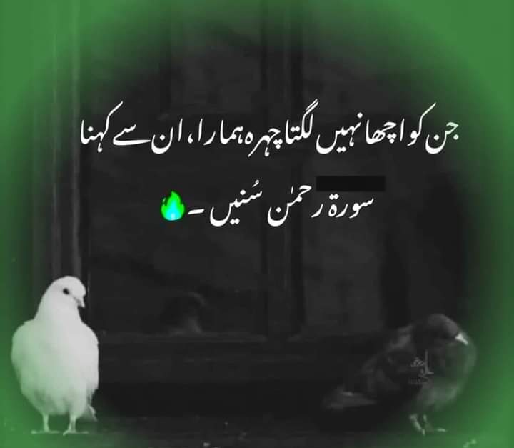S_f_ias's tweet photo. جن کو اچھا نہیں لگتا چہرہ ہمارا ۔۔۔
ان سے کہنا سورتہ رحمن سنیں!!!
#JummahMubarak
#viralfacts #mydairy https://t.co/rSWWYx8PpD
