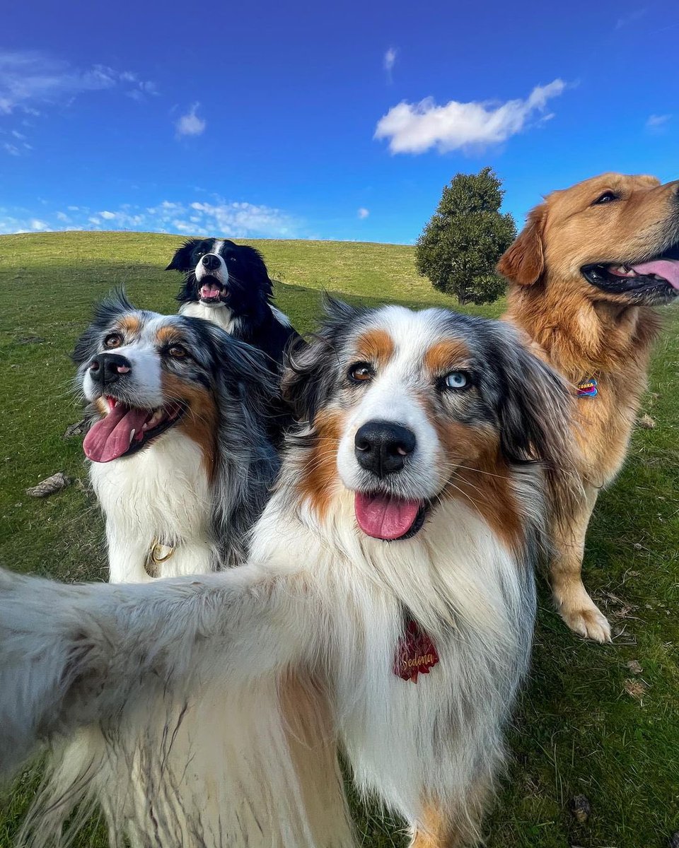 aussiesdointhgs's tweet photo. Felt cute. Might delete later😜🤳
📸 IG aussie.sedona https://t.co/ZUx2rpi4Qn