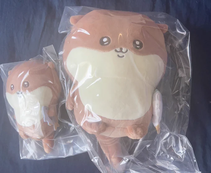 ナガノくじのカワウソ届いた!!