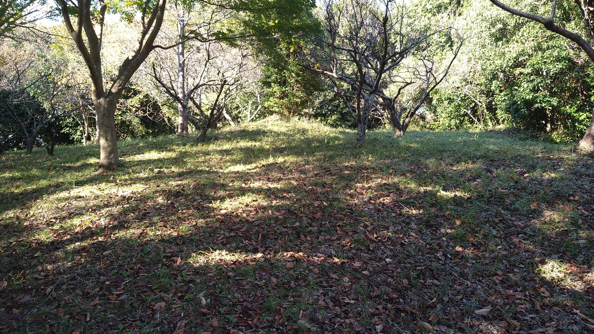 SerrowY's tweet photo. 大平新城なう。
#大平新城 https://t.co/aV99Awofvf