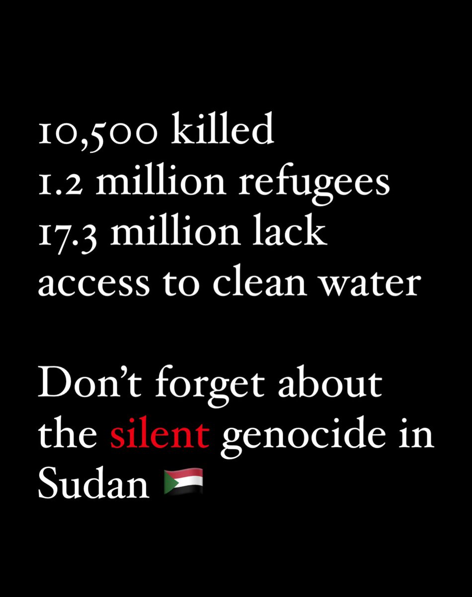 🇸🇩