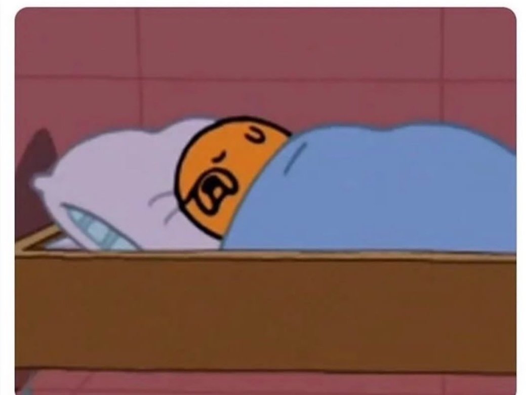 Bunnys_hub's tweet photo. " You better not fall asleep "
Me: Trust me i won't, I'm not even tired 

*10 sec later*😪 https://t.co/K6iIVqJ6tX