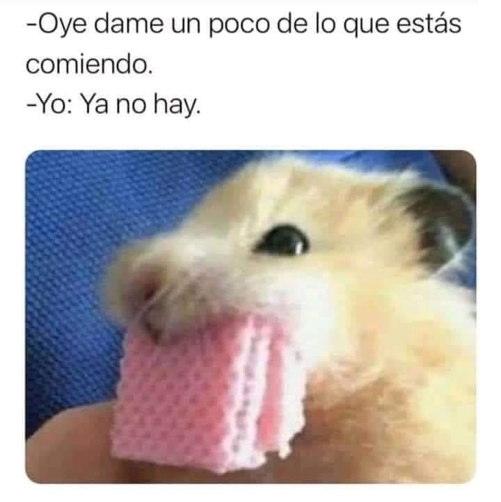 Doña Momera (@memespitudos) on Twitter photo 