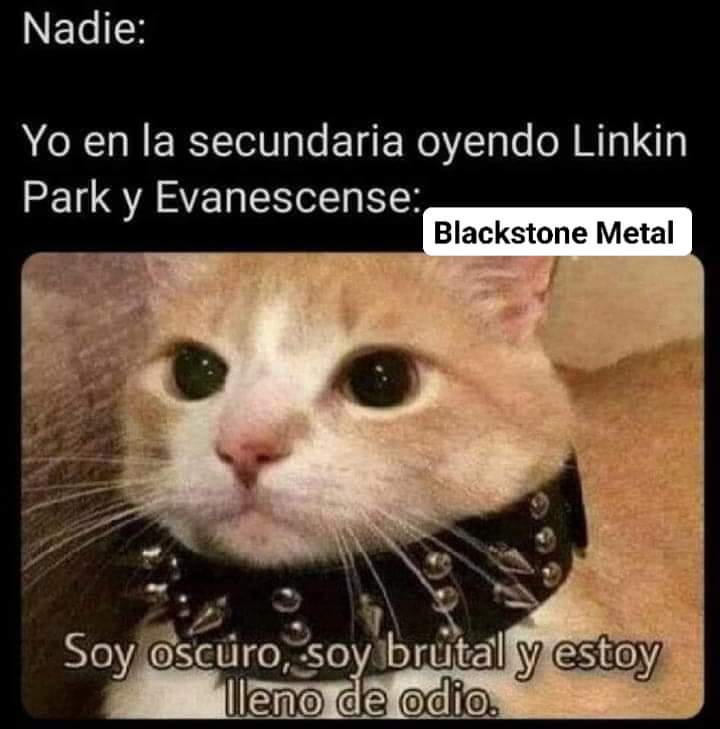 Doña Momera (@memespitudos) on Twitter photo 