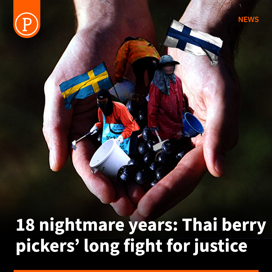 For 18 years, around 100,000 Thai farmers have travelled to work as berry pickers in Finland and Sweden, believing it offered them an opportunity to earn good money. Instead, many came home empty-handed or in debt with the berry companies. prachataienglish.com/node/10693