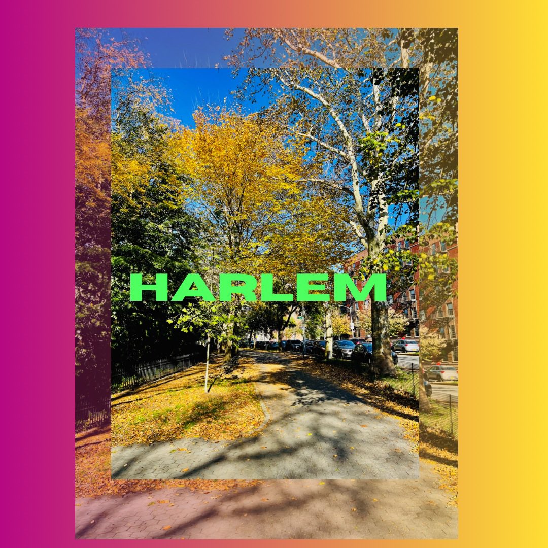 raerachel577's tweet photo. NYC Harlem https://t.co/I2lWXZjnkc