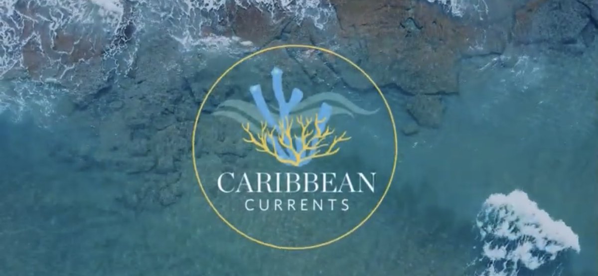mibraden's tweet photo. Coral Bleaching in the Caribbean and How We're Fighting Back https://t.co/9aPq2V0WSd #CoralConservation https://t.co/1Y33UkenuF