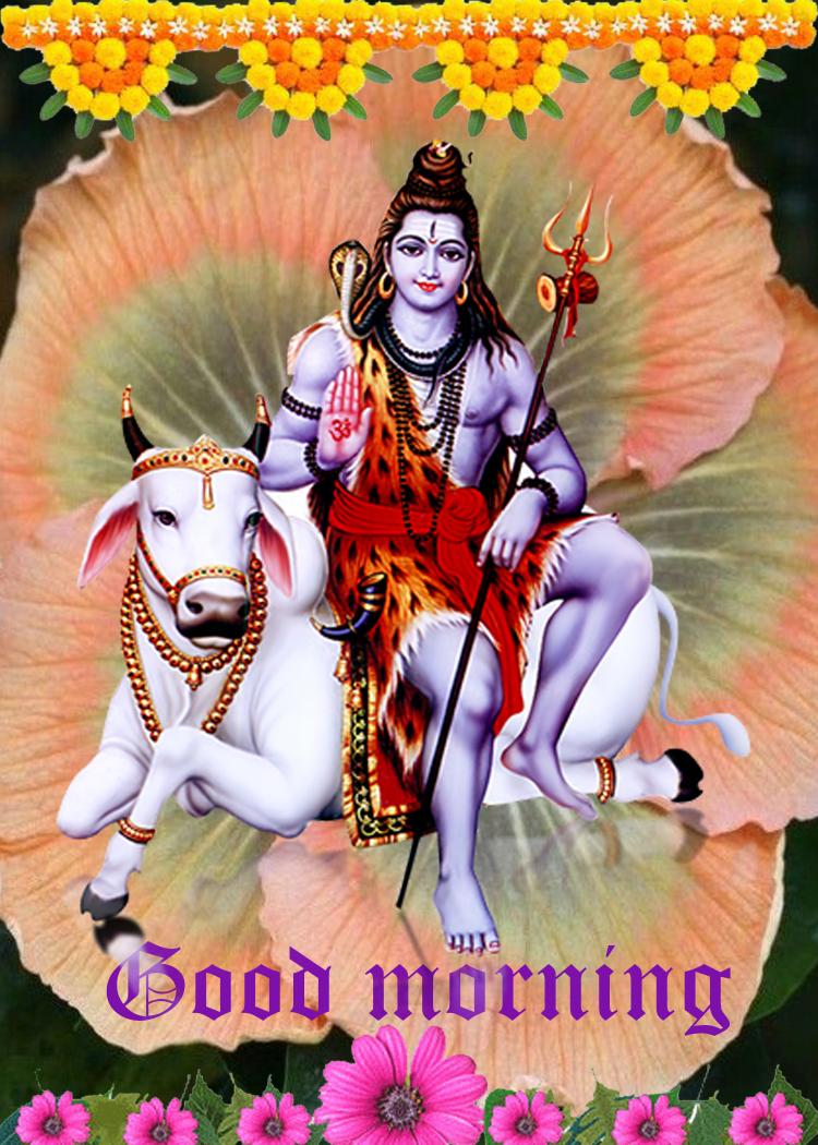Titu halder (@tituhalder5) on Twitter photo 