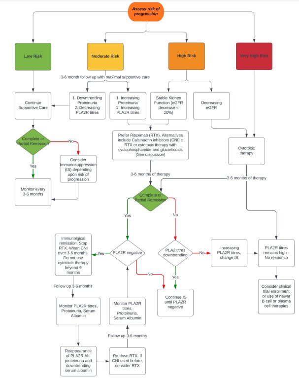 manirath's tweet photo. 👀 Management of PLA2R positive MN based on the risk of progression👍
 https://t.co/GQRtJAuX5t https://t.co/tuJ9sCUiLV