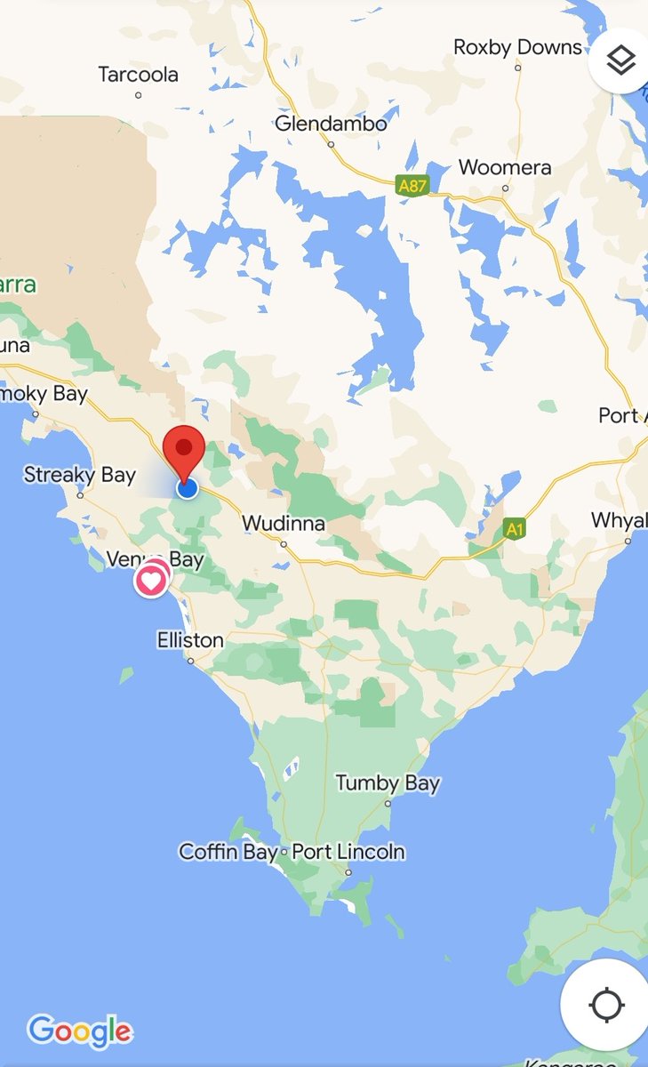 Leighton Wilksch tweet media