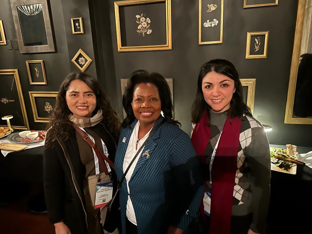 Women In Nephrology tweet media