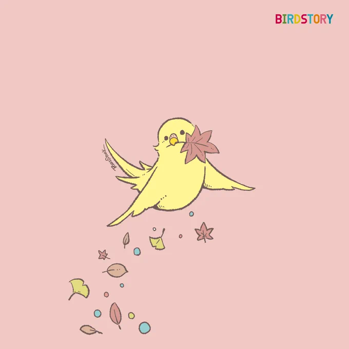 おはようございます。 本日は11月3日、文化の日とのことです よき祝日になりますように #BIRDSTORY #セキセイインコ