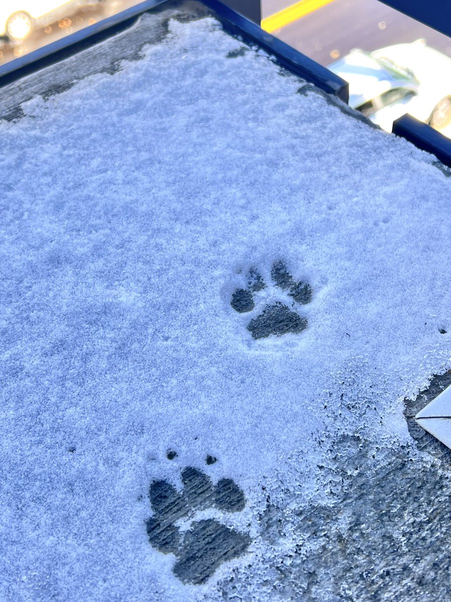 First snow