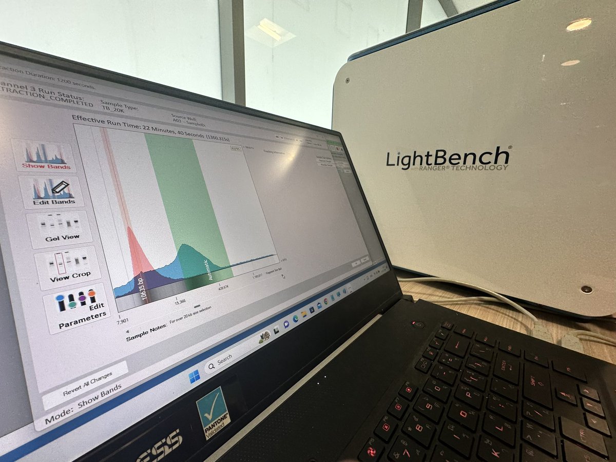 Thidathipw's tweet image. @birdkruasuwan tried selecting &amp;gt;20 kb DNA fragments from #Mycobacterium #tuberculosis gDNA samples using #LightBench by Yourgene Health. We aim to obtain complete genomes of multiple MTB lineages found in #Thailand in a single #nanopore flow cell.