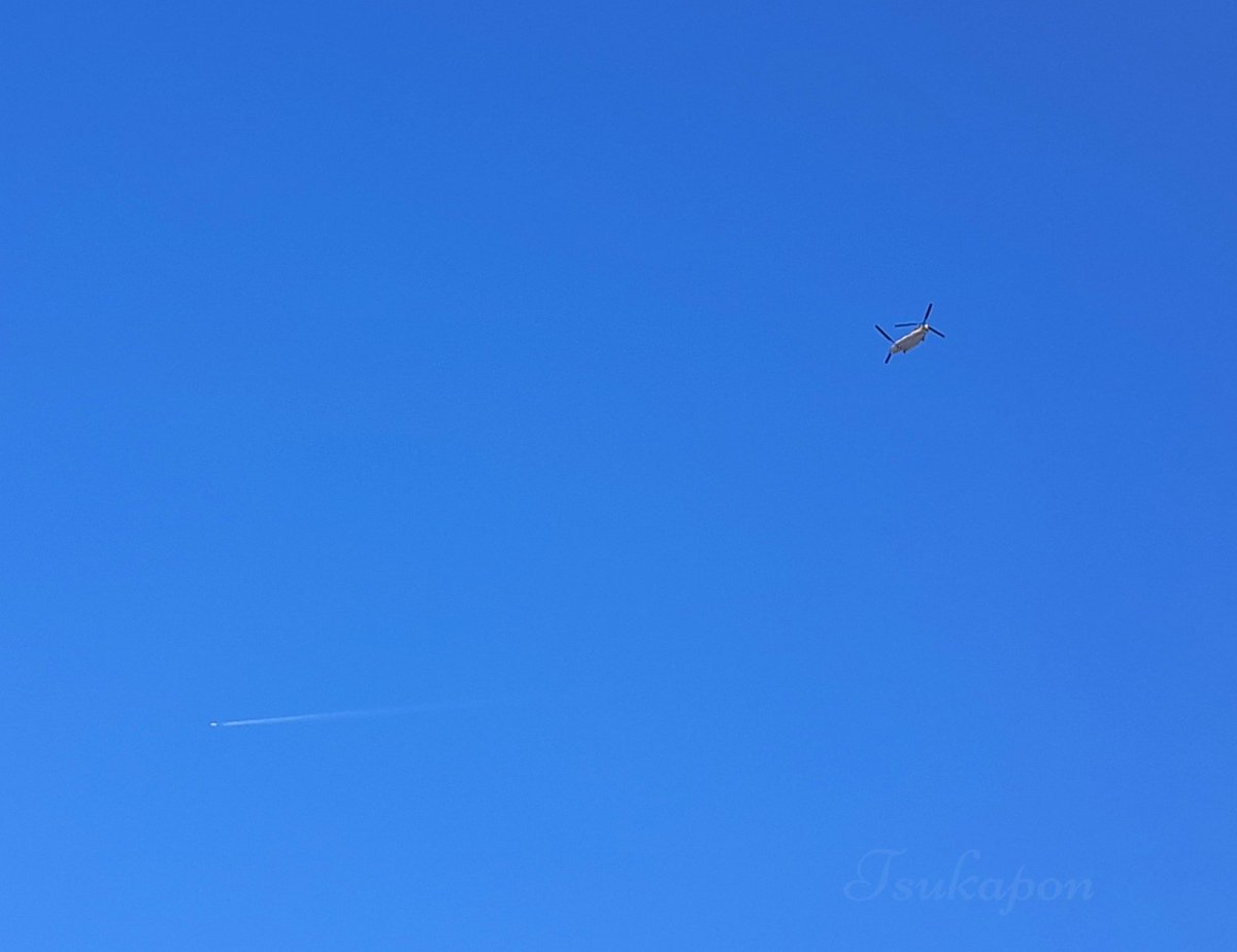 tsukapal's tweet photo. おそようございます🌞

今日はチヌたんがたくさん飛んでいます🚁

良い一日になりますように ·͜·˖
#入間基地 #RJTJ #チヌーク #CH_47 https://t.co/pVrRsZwauy