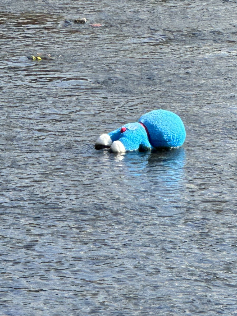 kanazawa_you's tweet image. ドラえもん死んでる。警察呼んだ方がええかな