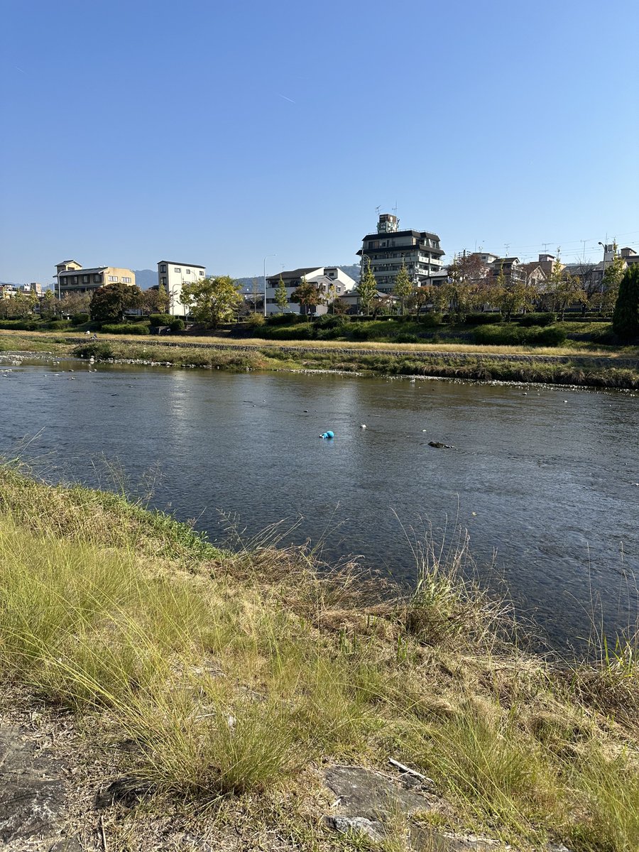 kanazawa_you's tweet image. ドラえもん死んでる。警察呼んだ方がええかな