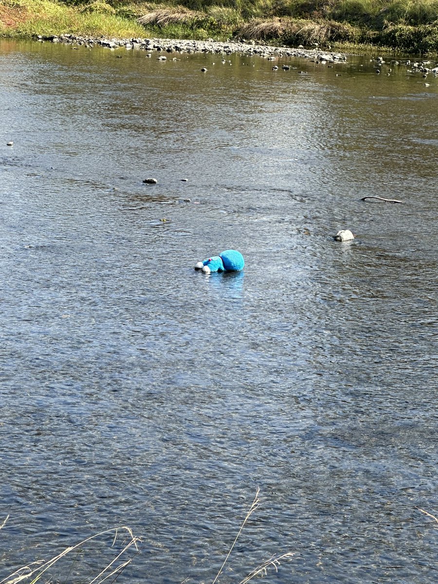 kanazawa_you's tweet image. ドラえもん死んでる。警察呼んだ方がええかな