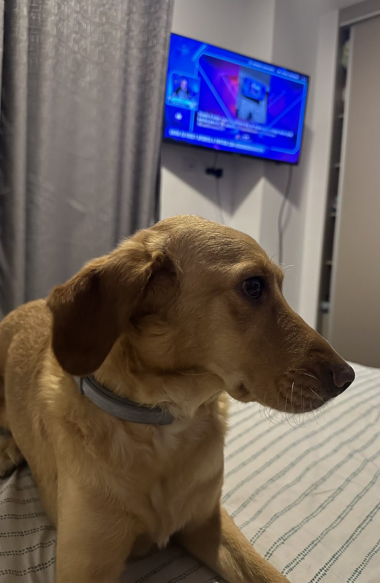 Hola <a href="/ClaudioMichaux/">Claudio Michaux</a>, aquí esperando el inicio del reality con Floppy 🐶 #GranHermanoCHV Saludos