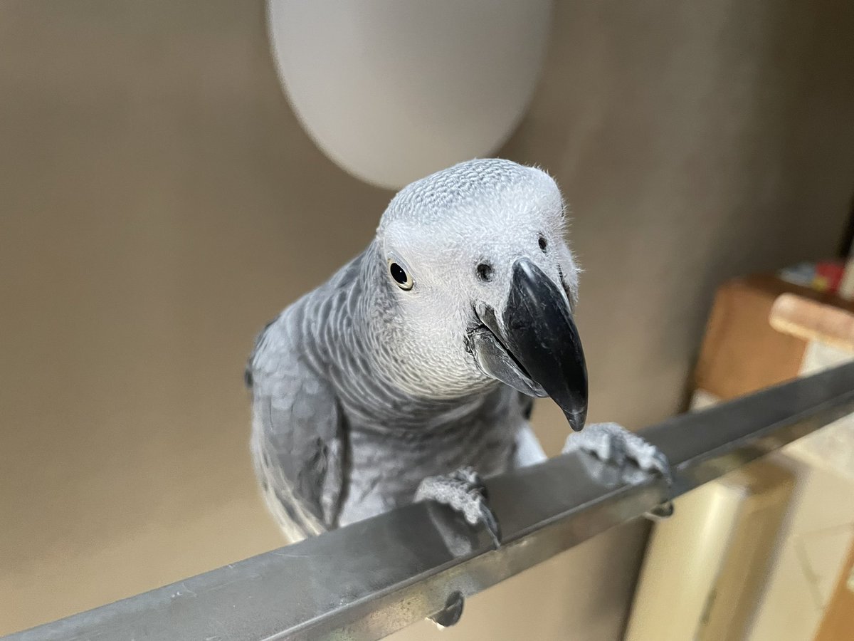 本日も元気です😀
おでこを不意に突かれて出血しましたｗこんな時もありますね笑