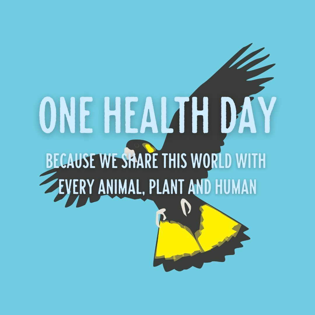 This #OneHealthDay, let's spread the message that we're all in this together. Get connected with nature at an event near you, or download the app for more ideas:
CVA Community Hub App: buff.ly/3KjfvQJ
#OneHealthDay #InThisTogether