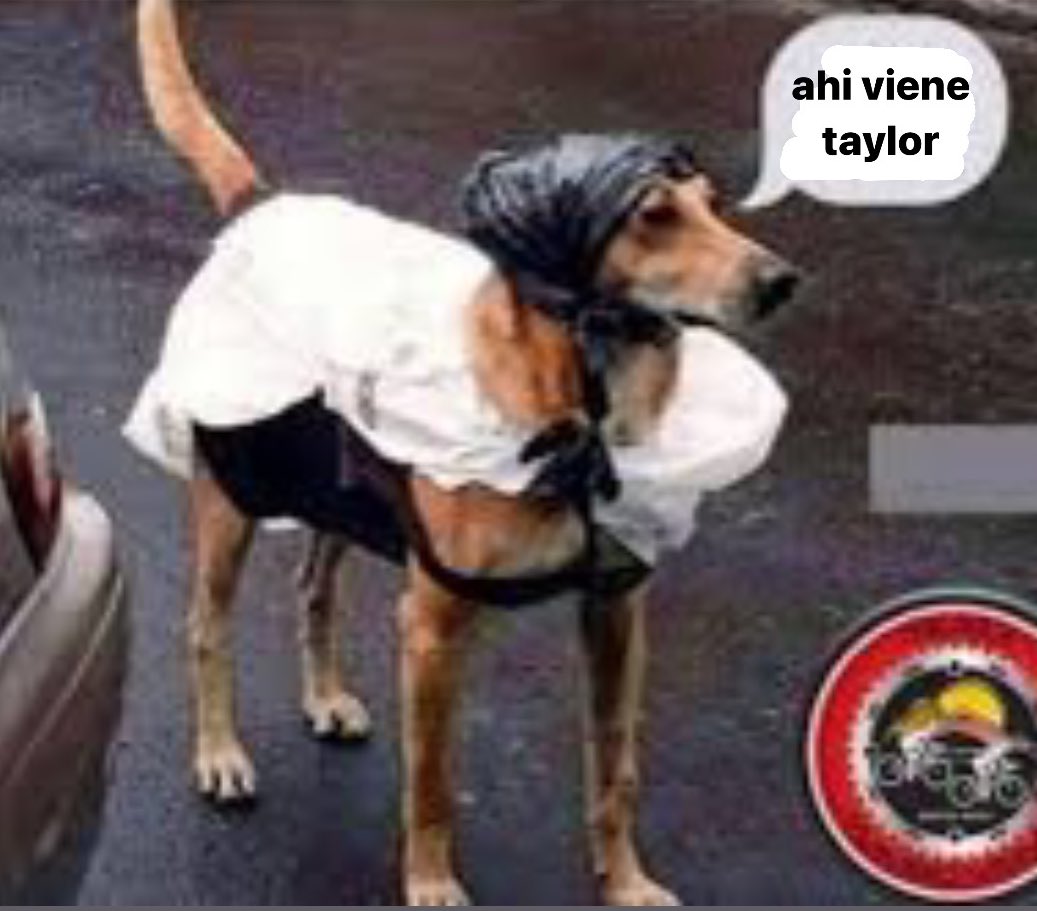 como quería ir / como voy a terminar yendo