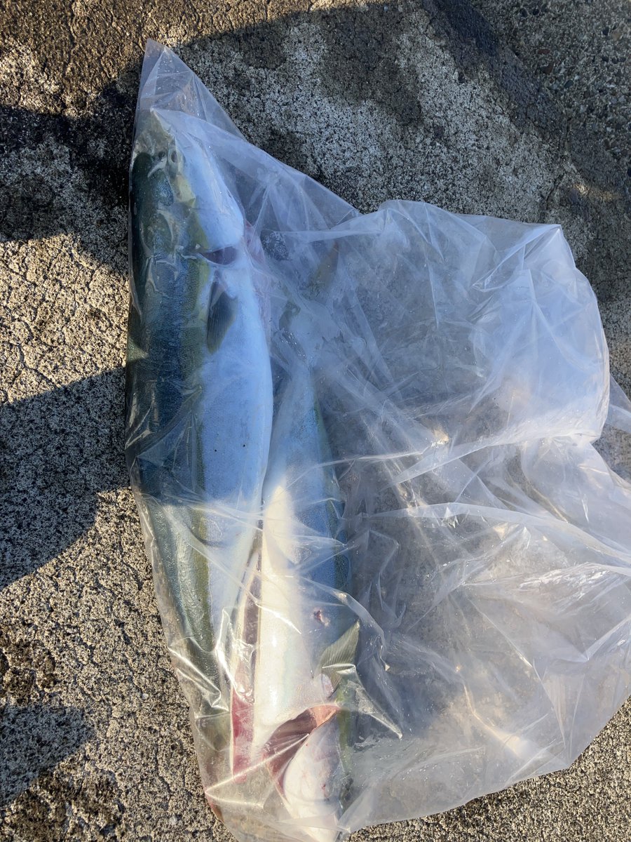 torof9179's tweet photo. もうだいぶ気が楽
俺がバラした後のおっしゃもろた！でのやり取りがおもろ過ぎたw https://t.co/iehWl9kkwB