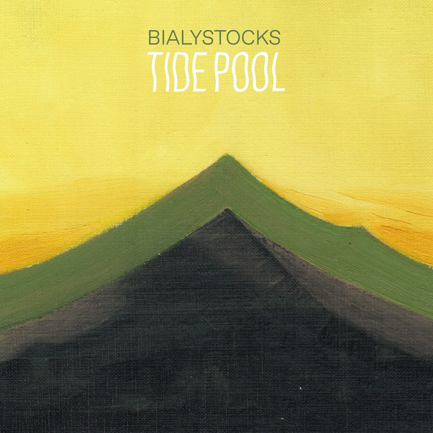 BIALYSTOCKS ビアリストックス アナログレコード Yahoo!オークション - LP 【bialystocks ビアリストックス