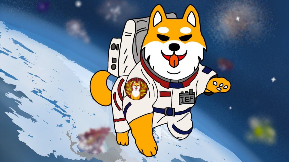 Memecoin projects are only as strong as their community. The people that believe and hold strong no matter what . . .

But never invest more than you can afford to lose. Crypto is risky and you can lose everything.