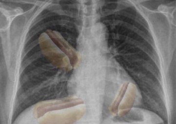 W_Strickland1's tweet image. After The Sixers 2d Early Season Victory Over The Raptors, Philadelphia Guard Patrick Beverley Retracted His Statement About Them Not Having Dogs... 
#TORvsPHI #NBA #ABDB #TheOpenRun