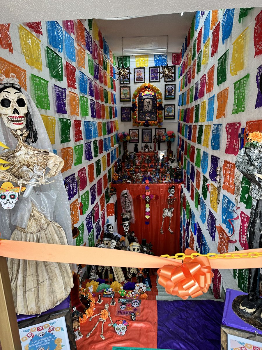 #Gato #rosarito #DiaDeLosMuertos