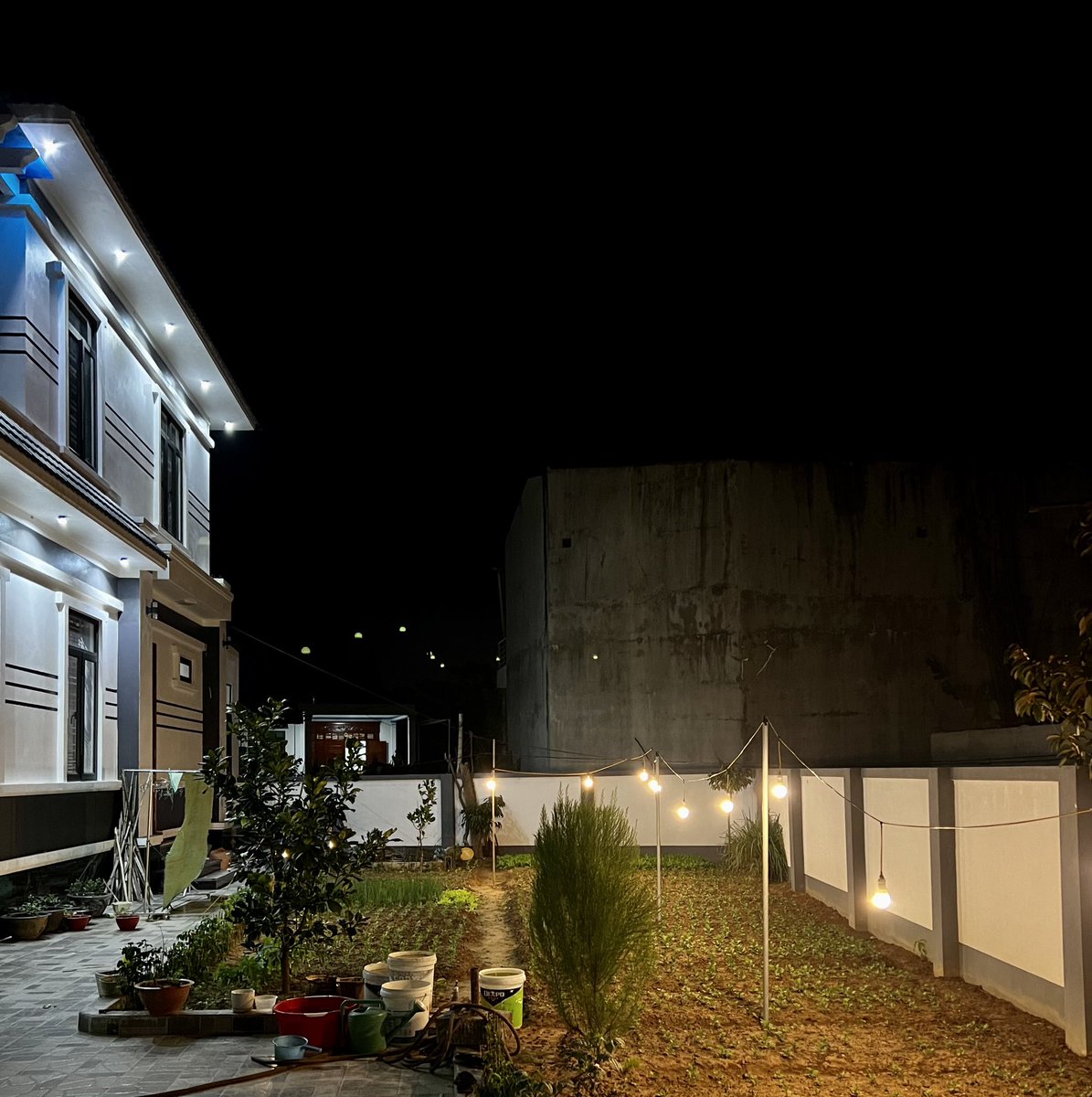 Lại một mùa hoa mới
Bình an