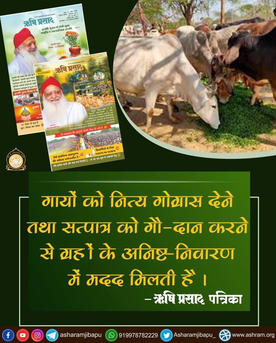 Sant Shri Asharamji Bapu has always told about importance of #गौ_उत्पाद in his Satsang. 
गाय के दूध के प्रोटीन बहुत ऊँचे दर्जे के होते हैं तथा ये अत्यंत सुगमता से पच जाते हैं । 
Swasthya Suraksha

Numerous Benefits