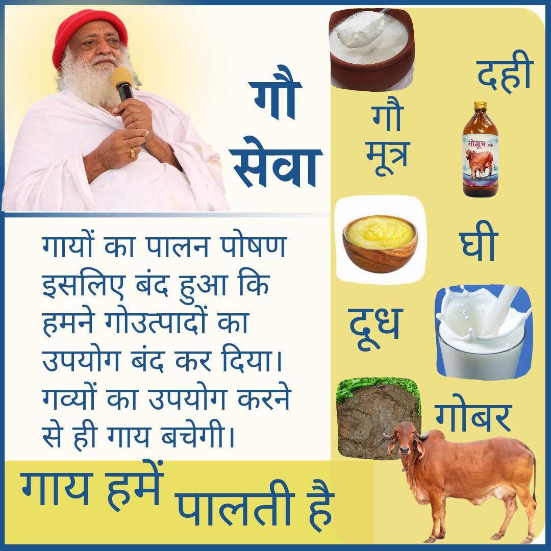 Sant Shri Asharamji Bapu tells Numerous Benefits of 
#गौ_उत्पाद (Cow Products)
They r equally beneficial for our Swasthya Suraksha as they act as immunity booster.