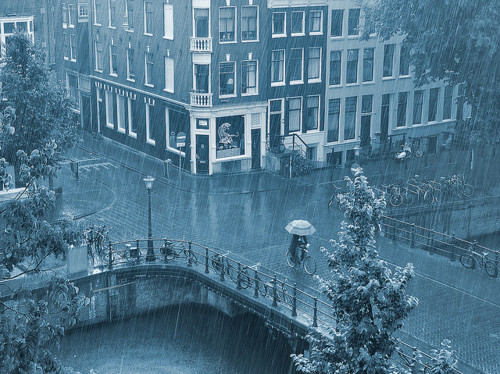 NikkiDale's tweet image. Spring Rain, Amsterdam, The Netherlands #SpringRain #Amsterdam #TheNetherlands kellyolson.com