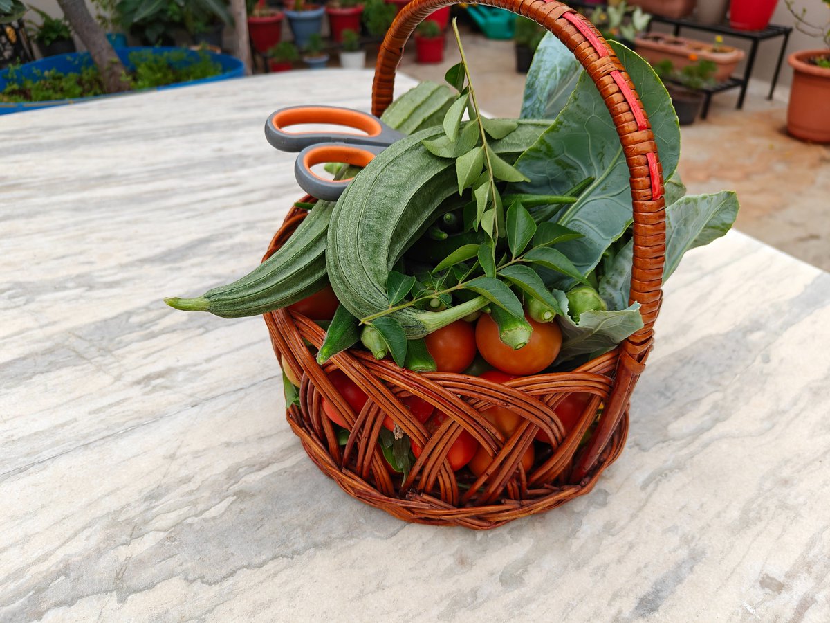 Go for organic...simply, form my roof top garden