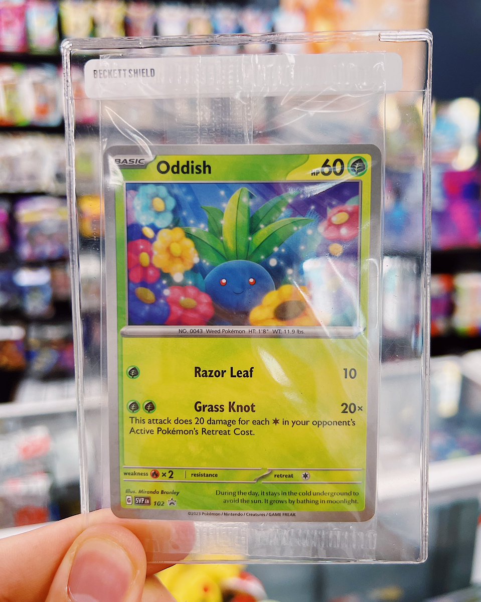 Oddish Pokémon Card Promo giveaway! How to enter: 1. ❤️ + RT this post. 2. Follow @SneakerTalkCA + @mantatrades Winner will be selected November 9th! (Global shipping, no purchase necessary) #pokemon #pokemontcg