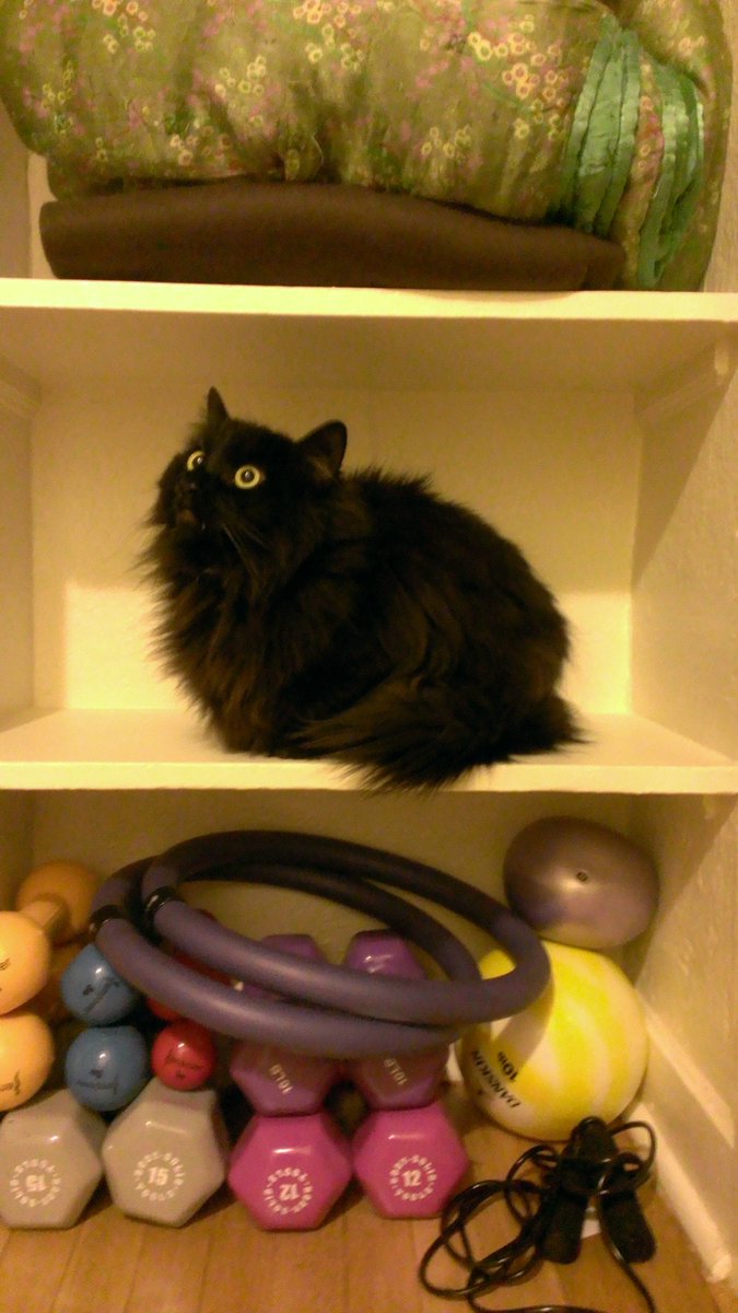 Jen Gentleman 🌺 tweet media