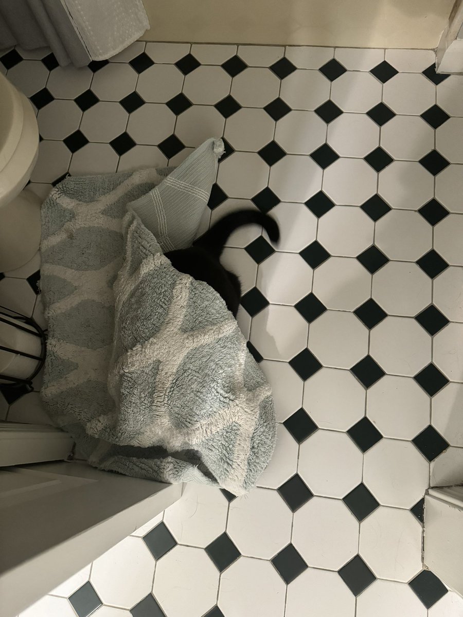hide n seek master
