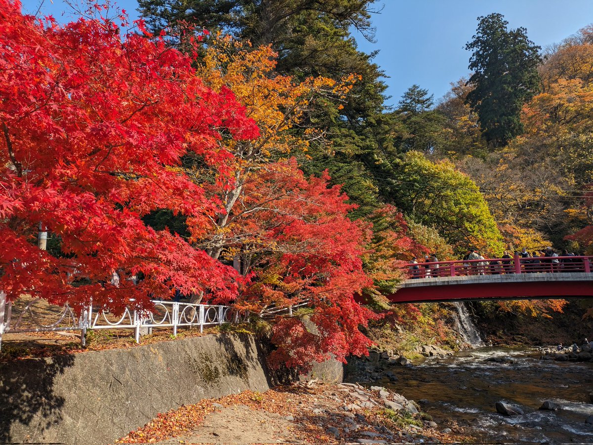 400XandTRICITY's tweet photo. 中野もみじ山も素晴らしいけど
虹の湖公園も素晴らしいですね

#中野もみじ山
#虹の湖公園 https://t.co/UpKVOUv1yM