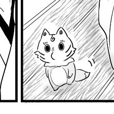 たぬき