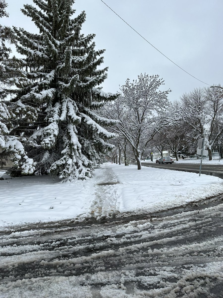 Canada reel tweet media