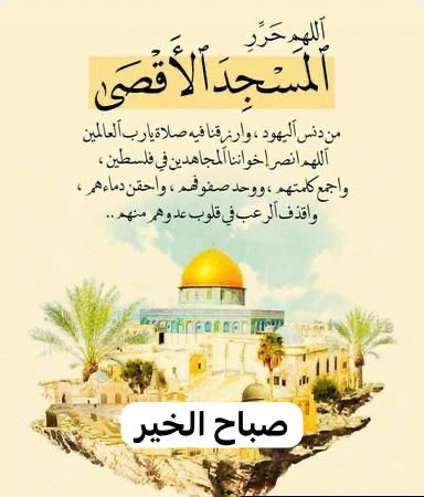 ♻️ *اللهم إنّ الأرض أرضك* والجند جندك والأمر أمرك وأنت القويّ العزيز *فانصر إخواننا المُجاهدين* في غزّة وفلسطين

♻️ *اللهم سَدِّد رميهم وثبِّت أقدامهم* وزِدهم قوّة وصبرا وجَلَدا *وادحر عدوّهم ومن يوالي عدوّهم* بالمال والسلاح *والإعلام* والكلمة يا الله
🤲🏻🤲🏻🤲🏻
<a href="/mmoo_009/">🎼آلُِملُِڪهـ دِآنهـ🎼🇴🇲 ‏</a>