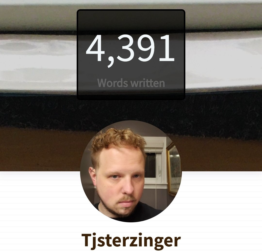 TJSterzinger's tweet photo. Another 1700 words down #NaNoWriMo #Nanowrimo2023 https://t.co/YqPhu6Y76p