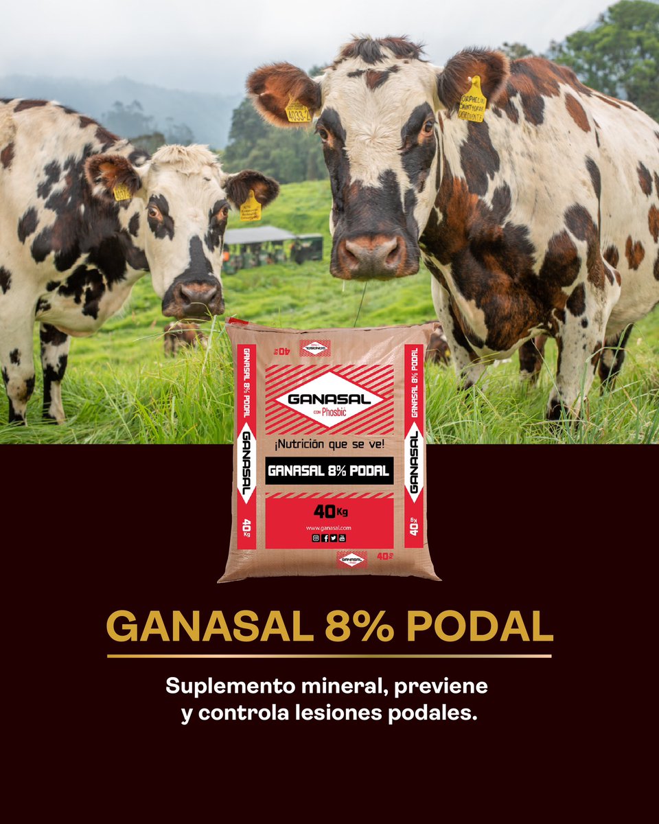 ganasal's tweet photo. Ganasal 8% Podal, es un suplemento mineral de la línea medicada de Ganasal que te ayuda a mejorar fertilidad en vacas con altas producciones de leche con restricción de pradera. Conoce más detalles de la descripción del producto, en nuestra página web https://t.co/o6fh1Xr3Sw https://t.co/KyVKOjv2ga