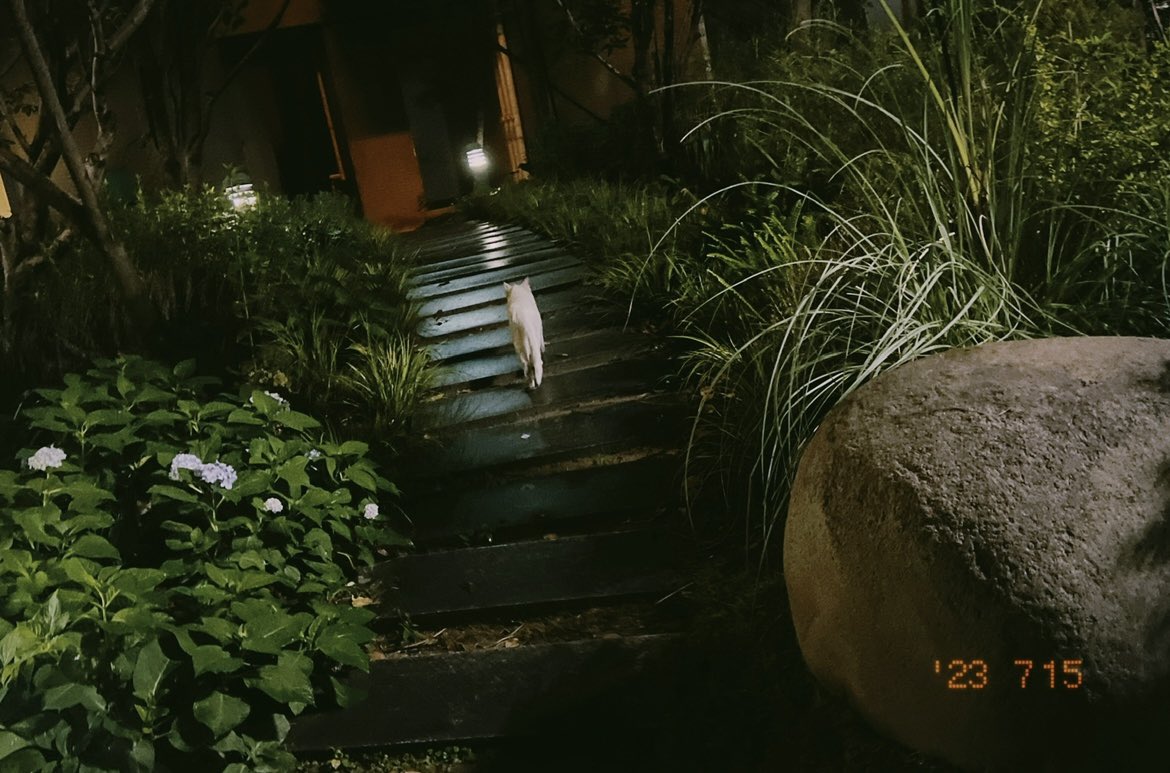 MengxuanLiart's tweet image. Reference VS Art 🌙