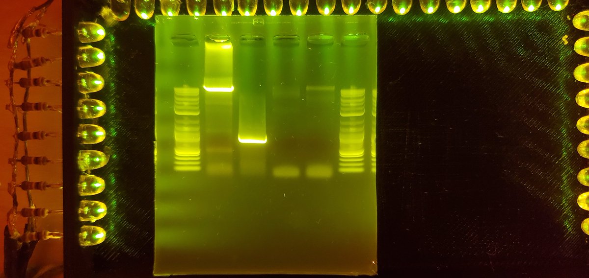 Almost got this pesky backbone 23Kbp (lane 2) amplified clean. Q5 is power.